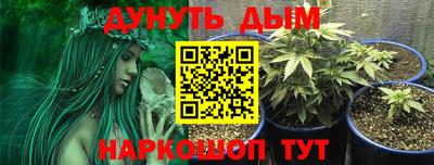 spice Будённовск